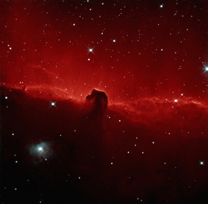 Horse head nebula in HOO.